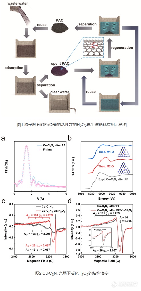 宁波材料所采用operando冷冻电子顺磁共振波谱仪在水处理高级氧化技术上取得系列进展