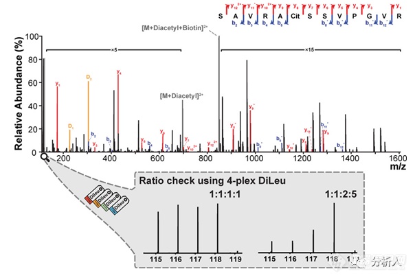 李灵军与叶慧团队合作成果：生物素硫醇标签辅助质谱法对蛋白质瓜氨酸化进行全局分析