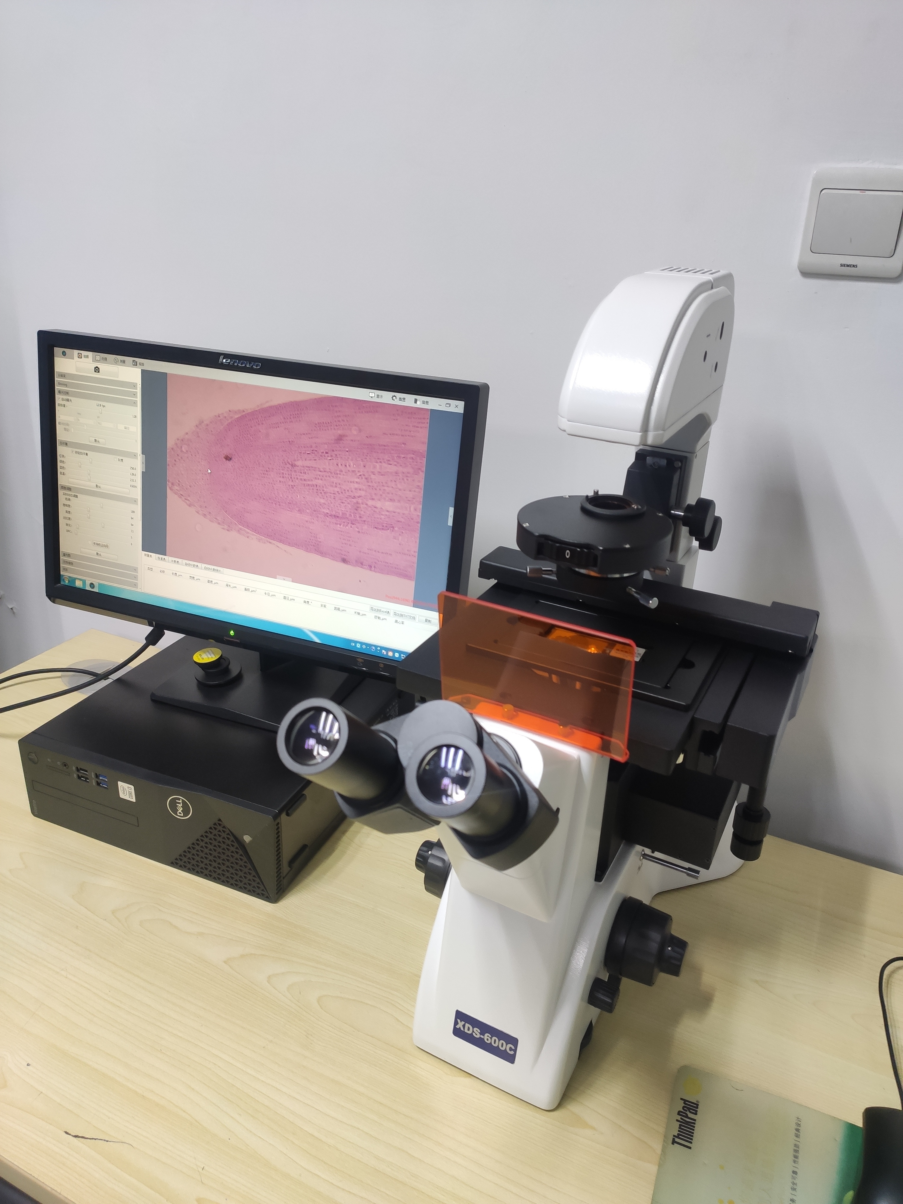 蔡康倒置荧光显微镜细胞培养荧光显微分析系统XDS-600C