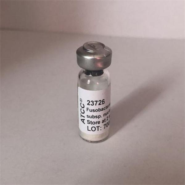 ATCC 27511 皮氏罗尔斯顿氏菌