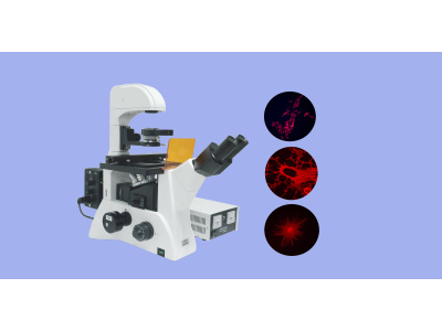 蔡康倒置荧光显微镜细胞培养荧光显微分析系统XDS-600C
