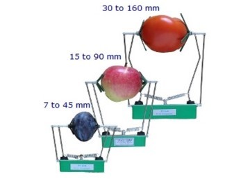 FI-LT/FI-MT/FI-ST果实生长传感器