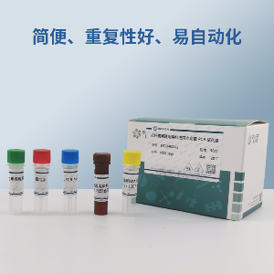 麻黄根PCR鉴定试剂盒