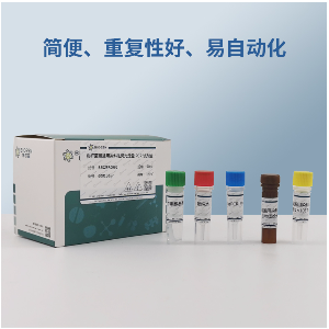 鸭肝炎病毒3型RT-PCR试剂盒