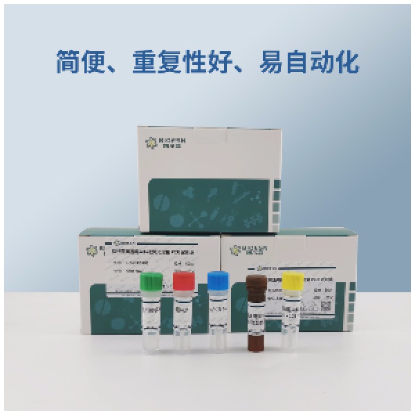 甲型肝炎病毒RT-PCR试剂盒
