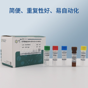 野油菜黄单胞菌天竺葵致病变种PCR试剂盒