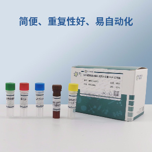 肥胖带绦虫PCR试剂盒