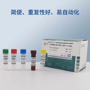 轻型链球菌PCR试剂盒