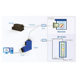 特种探头拉曼光谱检测系统