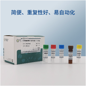 甘蔗线条病毒RT-PCR试剂盒