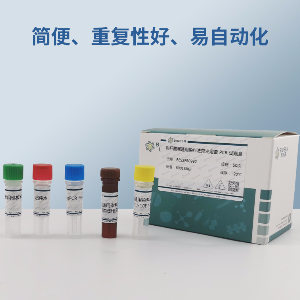 核果树溃疡病菌PCR试剂盒