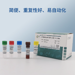 熊源性成分PCR检测试剂盒