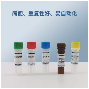 人免疫缺陷病毒1型M群B型RT-PCR试剂盒