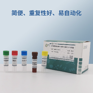 须芒草假单胞菌PCR试剂盒