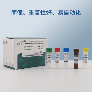 丁香假单胞杆菌杨梅致病变种PCR试剂盒