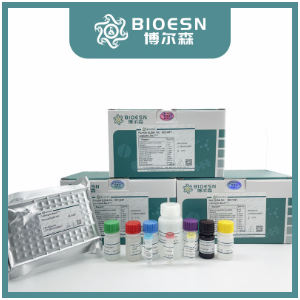 小鼠胶质纤维酸性蛋白即用型免疫组化试剂盒