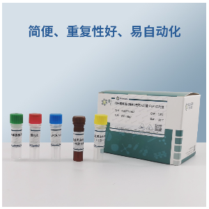 大豆花叶病毒RT-PCR试剂盒