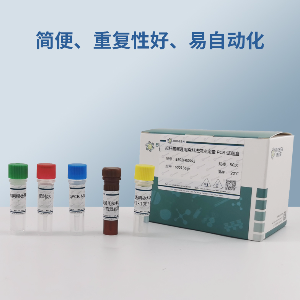 胆南星PCR鉴定试剂盒