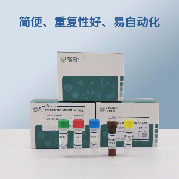 乳房链球菌PCR试剂盒