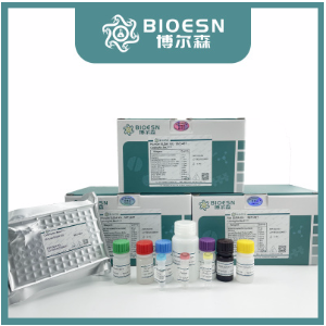 转录因子MYB相关蛋白B即用型免疫组化试剂盒