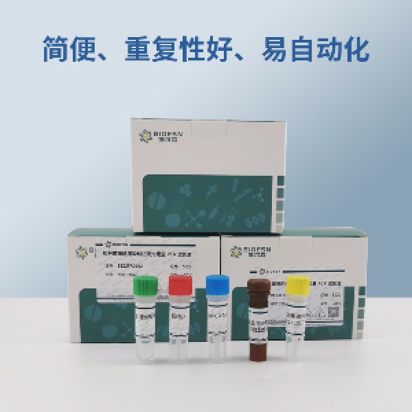 木质部难养细菌夹竹桃株PCR试剂盒