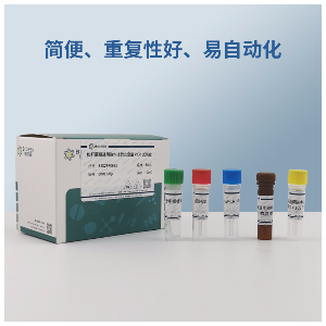 两管式RT-PCR试剂盒（MMLV-Taq）