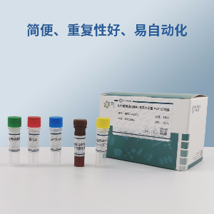 野油菜黄单胞菌天竺葵致病变种PCR试剂盒