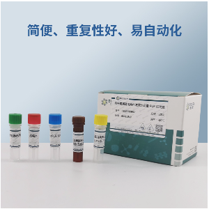 汉滩型汉坦病毒汉坦病毒RT-PCR试剂盒