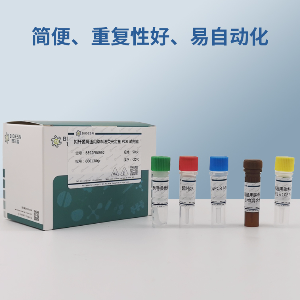 麻黄PCR鉴定试剂盒
