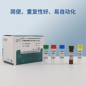 菜豆黄斑花叶病毒PCR试剂盒
