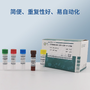 乙型肝炎病毒前基因组RNA RT-PCR试剂盒