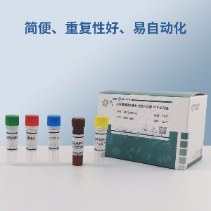 猪痘病毒PCR试剂盒