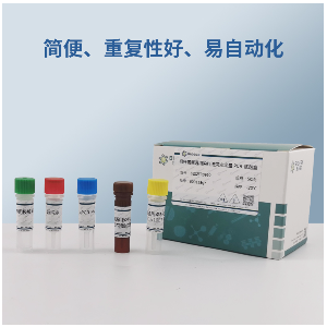 丙型肝炎病毒2型RT-PCR试剂盒
