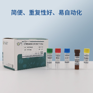Hypr病毒RT-PCR试剂盒