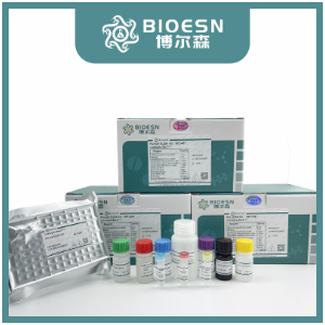 大鼠肌动蛋白α/α-SMA/α Actin单克隆即用型免疫组化试剂盒