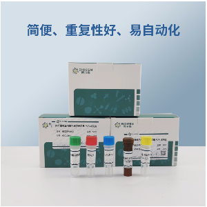 鸢尾黄斑病毒RT-PCR试剂盒