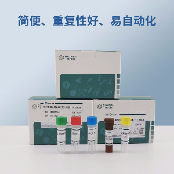 变异链球菌PCR试剂盒