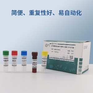 乳突类圆线虫PCR试剂盒