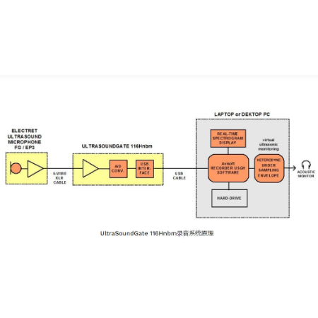 动物超声声音分析仪Avisoft-UltraSoundGate 116Un
