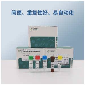 Inhangapi病毒RT-PCR试剂盒