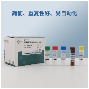草鱼呼肠孤病毒毒通用RT-PCR试剂盒