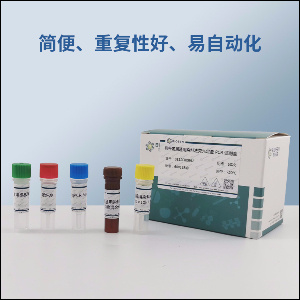 犬链球菌PCR试剂盒