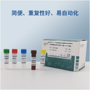 丁香疫霉病菌PCR试剂盒