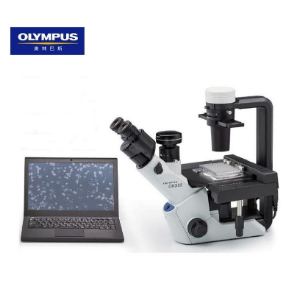 奥林巴斯OLYMPUS生物显微镜倒置生物显微镜CKX53