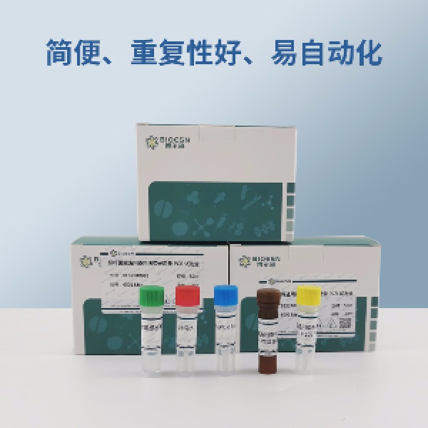 野油菜黄单胞菌水稻致病变种PCR试剂盒