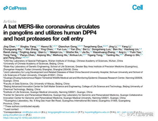 连发3篇Cell！北京化工大学生命科学与技术学院近期成果一览