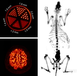 我国高端磁兼容脑PET成像仪器实现零突破