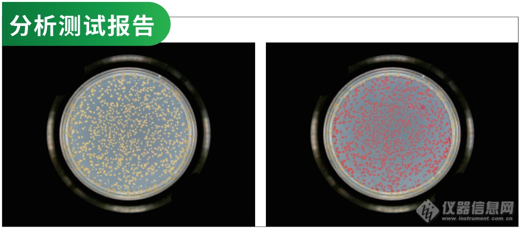 bc16全自动菌落计数仪 | 省时80%,计数1000个菌落仅需1秒!