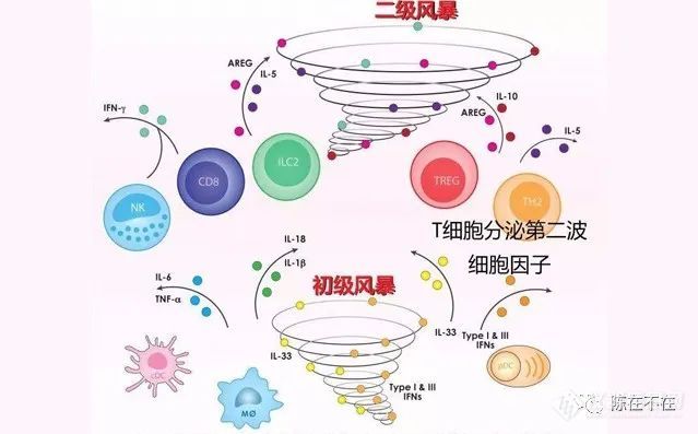 回顾流式这三年——陈九武