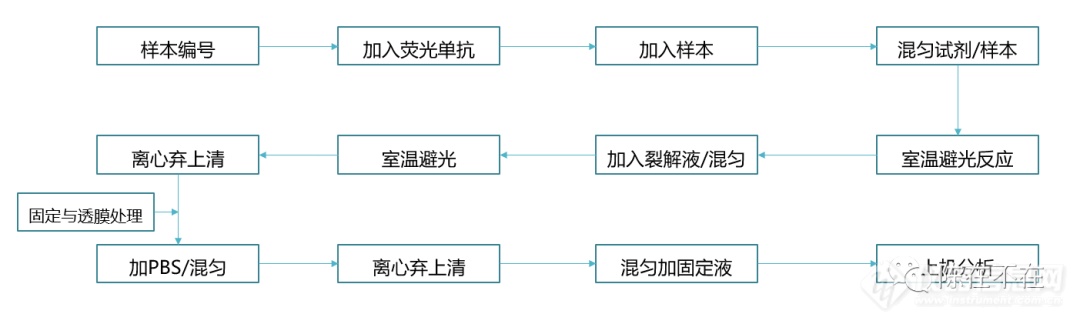 回顾流式这三年——陈九武